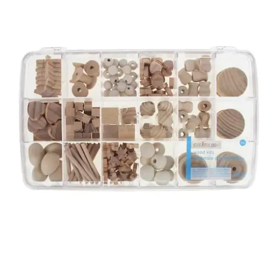 Wood Crafting Assortment Kit by Creatology&trade; {1}