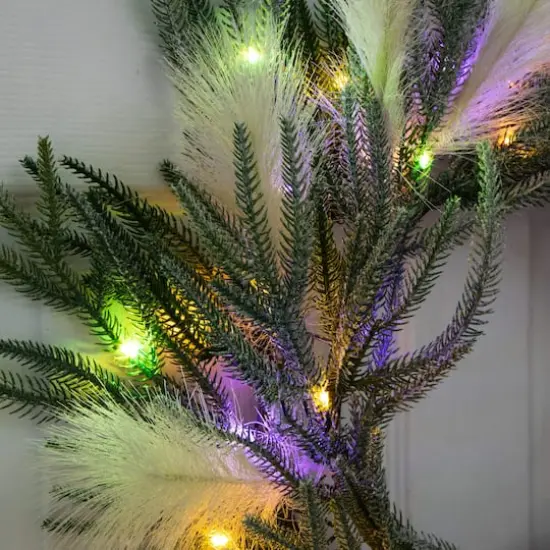 24in. Artificial Balsam Fir Pine and Pampas Wreath with 50 Color Changing LED Lights {9}