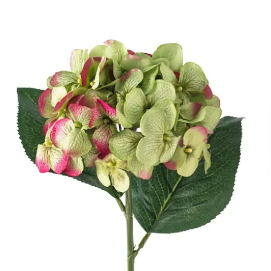 25" Hydrangea Stem by Ashland&reg; Green {4}