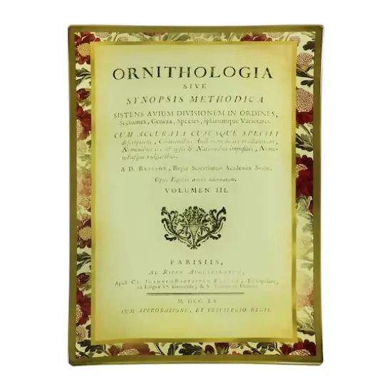 6" x 9" Ornithologia Decorative Plate by Ashland&reg; {1}