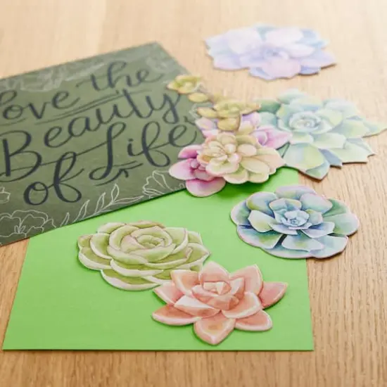 Succulent Die Cut Stickers by Recollections&trade; {3}