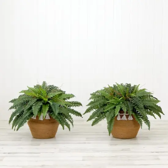 23" Artificial Boston Fern Plant with Handmade Jute & Cotton Basket with Tassels {5}