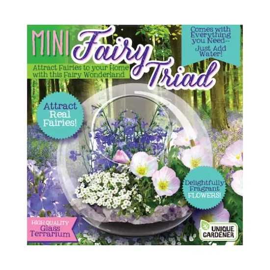 Glass Terrarium - Mini Fairy Triad {1}