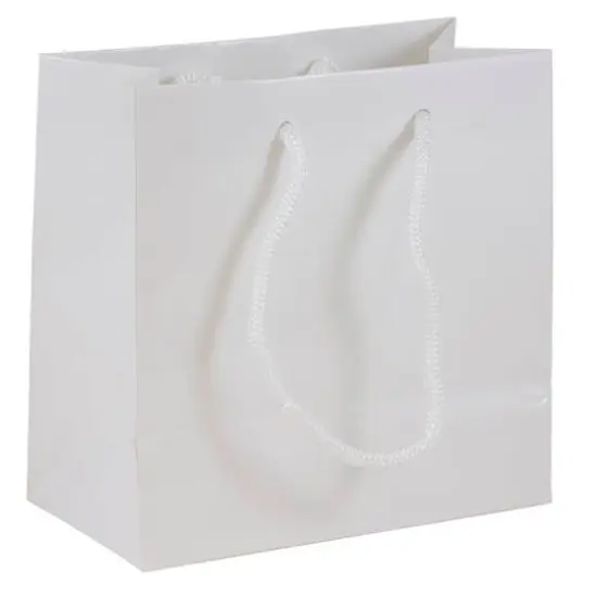 JAM Paper Small Glossy White Gift Bags, 3ct. {1}