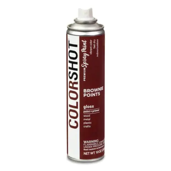 COLORSHOT&reg; Premium Gloss Spray Paint Brownie Points {4}