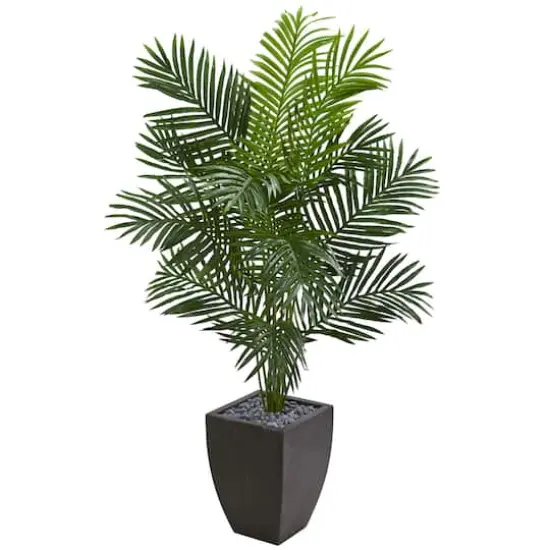 5.5ft. Paradise Artificial Palm Tree in Black Planter {1}