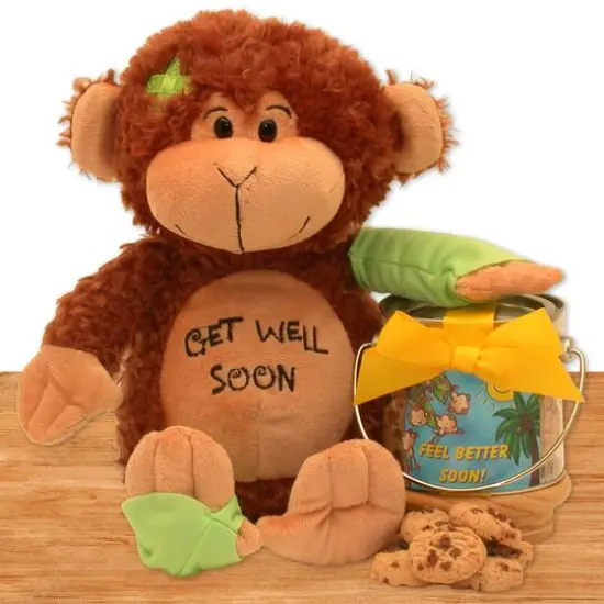 Friend on The Mend Monkey and Cookie Pail {1}