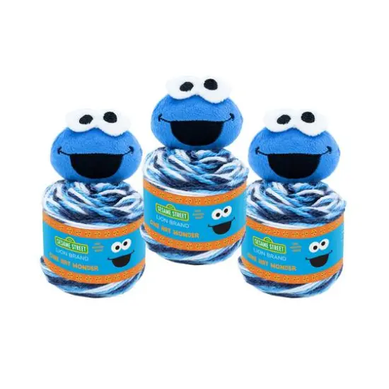 3 Pack Lion Brand&reg; Sesame Street&reg; One Hat Wonder Yarn Cookie Monster {1}