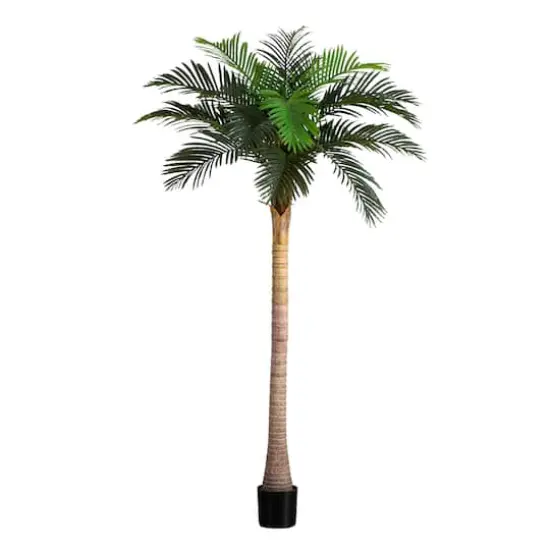 8ft. Potted Coconut Palm Tree {1}