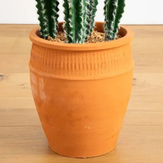 3ft. Cactus in Terracotta Planter {6}