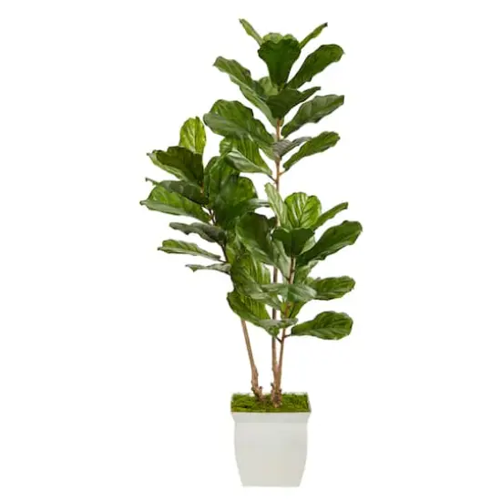 5.5ft. UV Resistant Fiddle Leaf Tree in White Metal Planter {1}