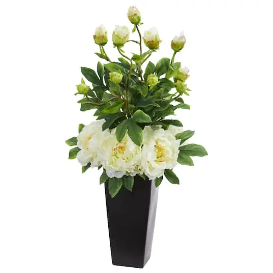 2.5ft. White Peony Arrangement in Black Vase {1}