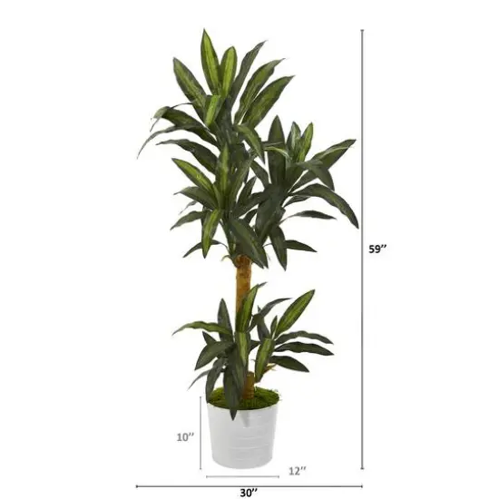 5ft. Yucca Plant in White Tin Planter {3}