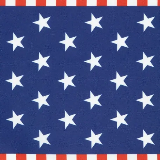 Stars & Stripes Americana Printed Placemats, 4ct. {5}