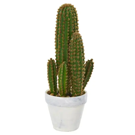 1.5ft. Cactus Succulent in White Planter {1}