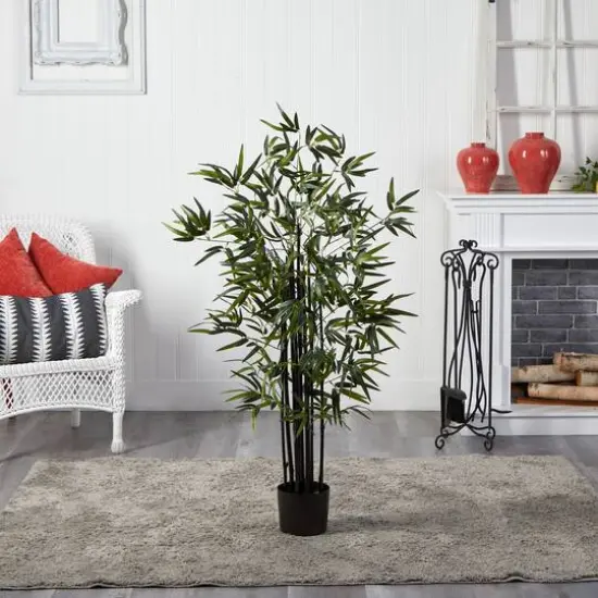 4ft. Potted Black Bamboo Tree {6}