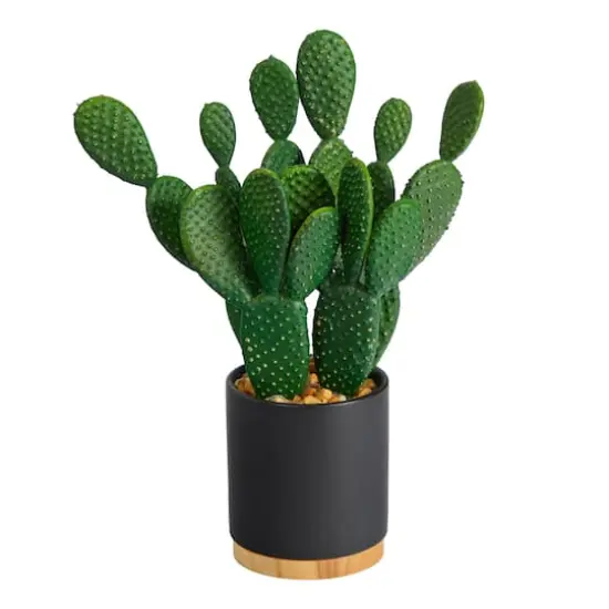 10'' Cactus Succulent Artificial Plant in Planter {1}
