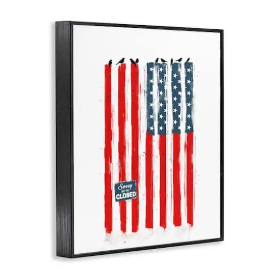 Stupell Industries American Flag Birds on Wall Political Statement Framed Giclee Art Black {4}