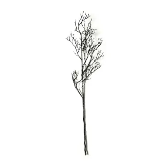 Black Bare Branch Stem by Ashland&reg; {1}
