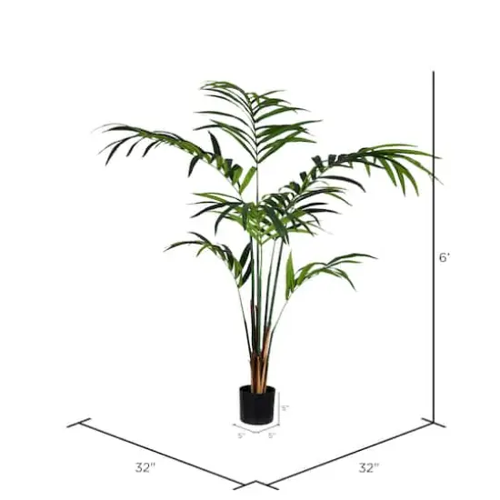 6ft. Potted Kentia Palm {5}