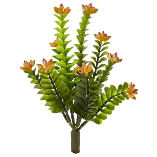 Orange Flowering Sedum Plant, 6ct. {1}