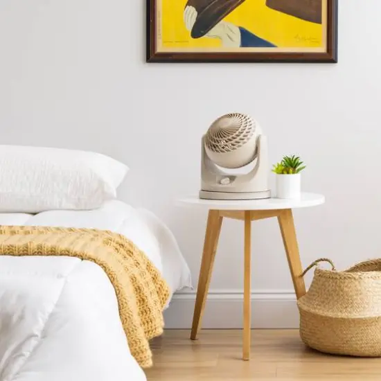 Iris&reg; 11.25" Latte Fan {5}