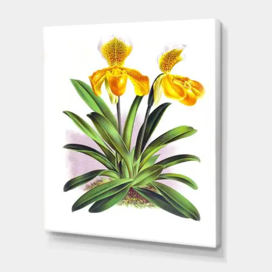Designart - Vintage Yellow Orchid - Traditional Canvas Wall Art Print {2}