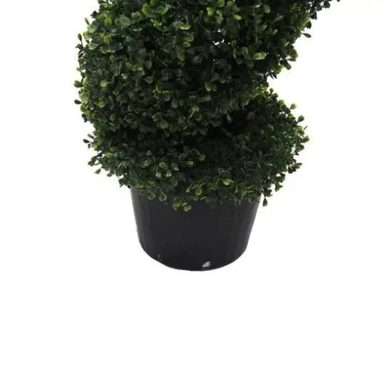 6ft. Potted Boxwood Spiral Tree {6}