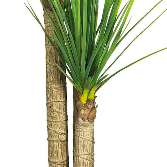 4.8ft. Potted Yucca Tree {4}