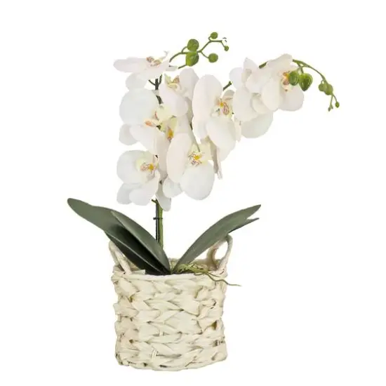 21" Pink Orchid Flower In White Basket Purple {2}