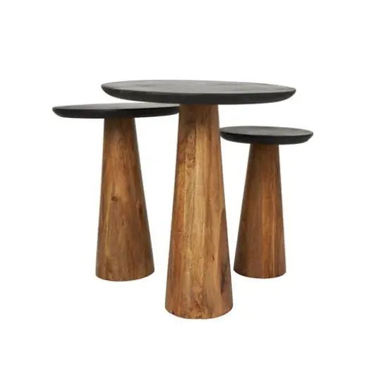 Brown Mango Wood Handmade Cone Shaped Accent Table with Black Tabletop Set {10}