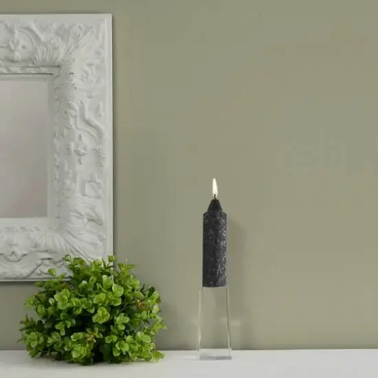 Root Candles 5" Unscented Timberline&trade; Collenette Taper Candles, 8ct. Black {1}