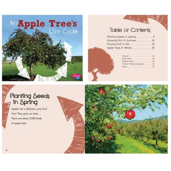 Pebble Plus Explore Life Cycles Set {8}