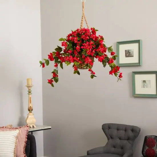 2.5ft. Bougainvillea Hanging Basket {6}