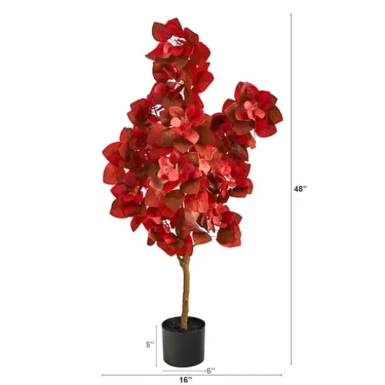 4ft. Potted Autumn Pomegranate Tree {4}