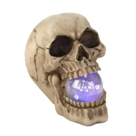 5" Realistic Human Skull with Light-Up Crystal Orb {4}