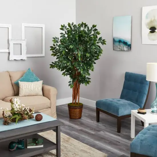 5.5ft. Sakaki Artificial Tree in Wicker Planter {5}