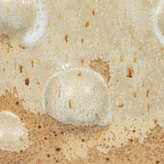 Hello Honey&reg; 8" White Stoneware Vase with Raised Dots & Reactive Glaze {10}