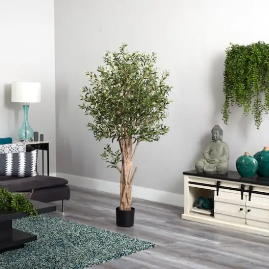 6ft. Potted Olive Tree {4}