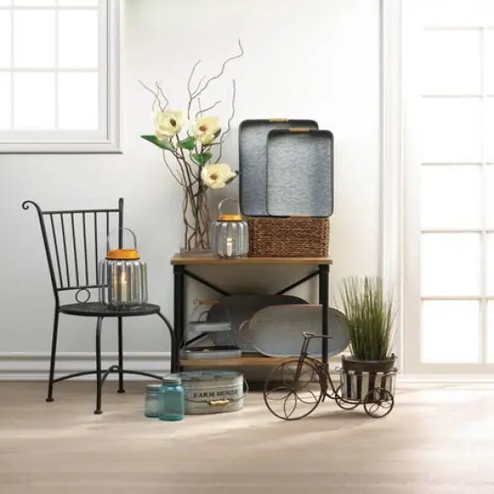 14" Galvanized Bucket Bike Plant Stand {4}