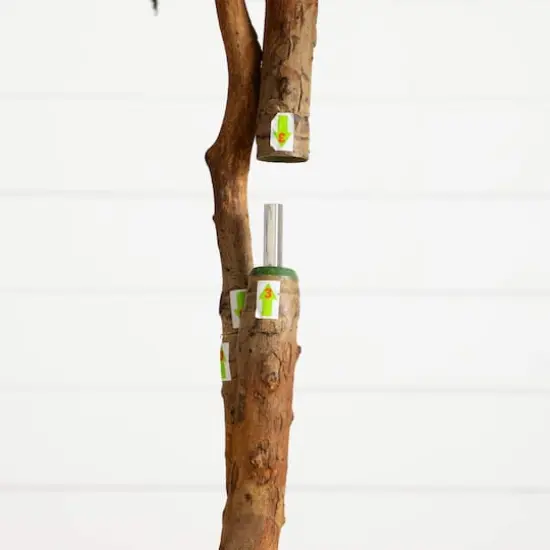 6ft. Artificial Halloween Black Willow Tree {6}