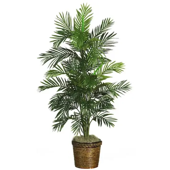 4.6ft. Areca Palm Tree with Basket {1}