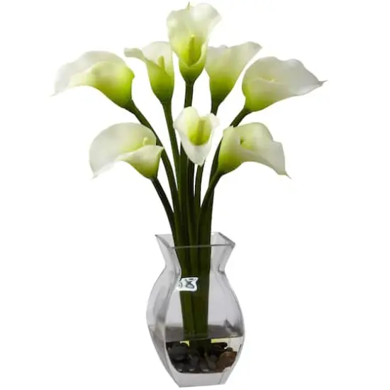 16" Classic Calla Lily Arrangement in Vase {1}