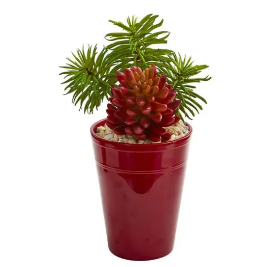 12" Mixed Succulents in Burgundy Vase, 2ct. {4}