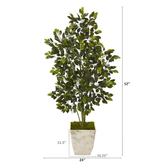 4.3ft. Ficus Tree in Country White Planter  {3}