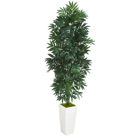 5ft. Bamboo Tree in White Planter {1}