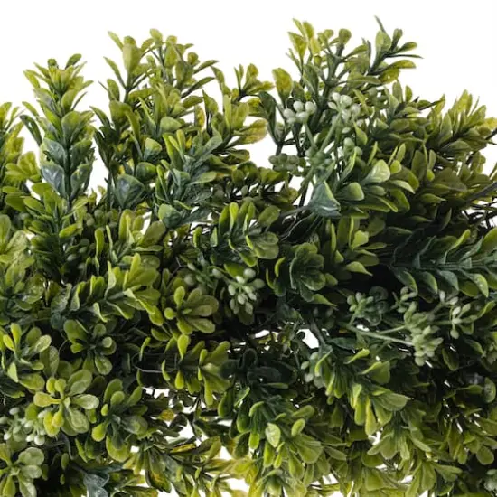 22" Boxwood Wreath by Ashland&reg; {4}