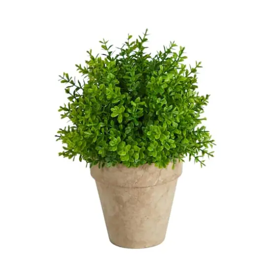 8'' Boxwood Artificial Plant in Decorative Planter {1}