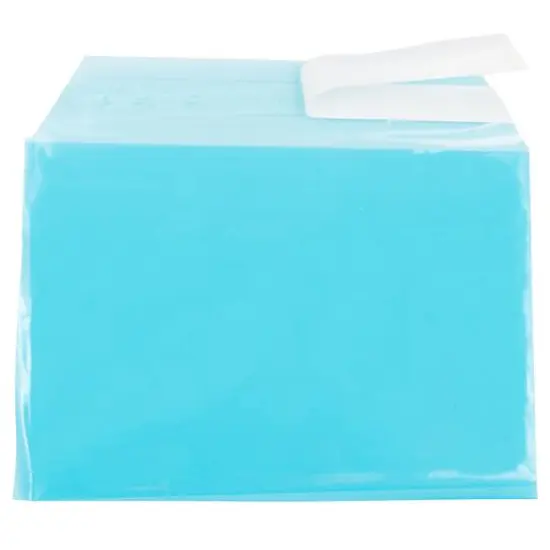 JAM Paper 5.063" x 7.188" Cello Sleeves with Self Adhesive Closures, 100ct. Blue {4}