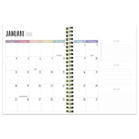 TF Publishing 2025-2026 Jolly Good Year Medium Weekly/Monthly Planner {3}